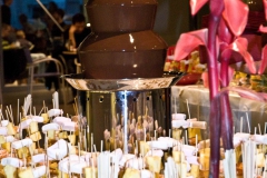 fontaine-a-chocolat-sephra13